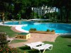 Pool and Loungers